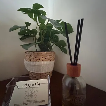 Aspasia Apartament