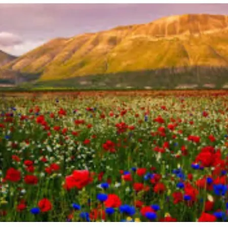 Appartamento Aspasia Recanati